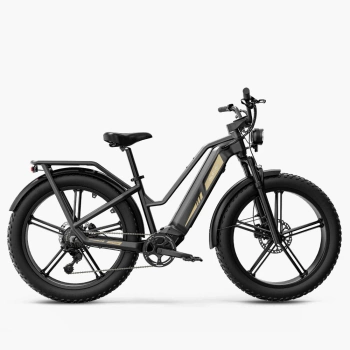 Rower elektryczny turystyczny FIIDO TITAN-2025 fatbike 250W